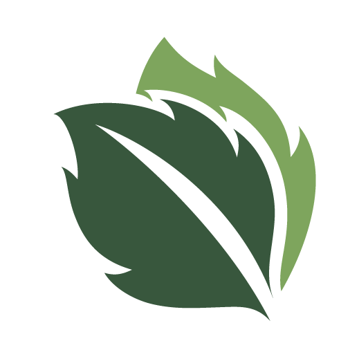 Two Green Leaves